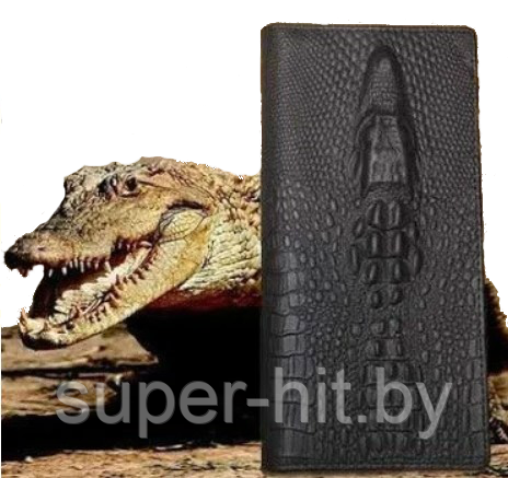 Мужское портмоне Wild Alligator (Вилд Аллигатор) - фото 2 - id-p170604087
