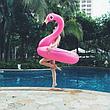 Надувной круг "Фламинго" 120 см, фото 4