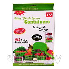 Набор пластиковых зелёных контейнеров для продуктов Stay Frech Green 10 предметов, фото 3