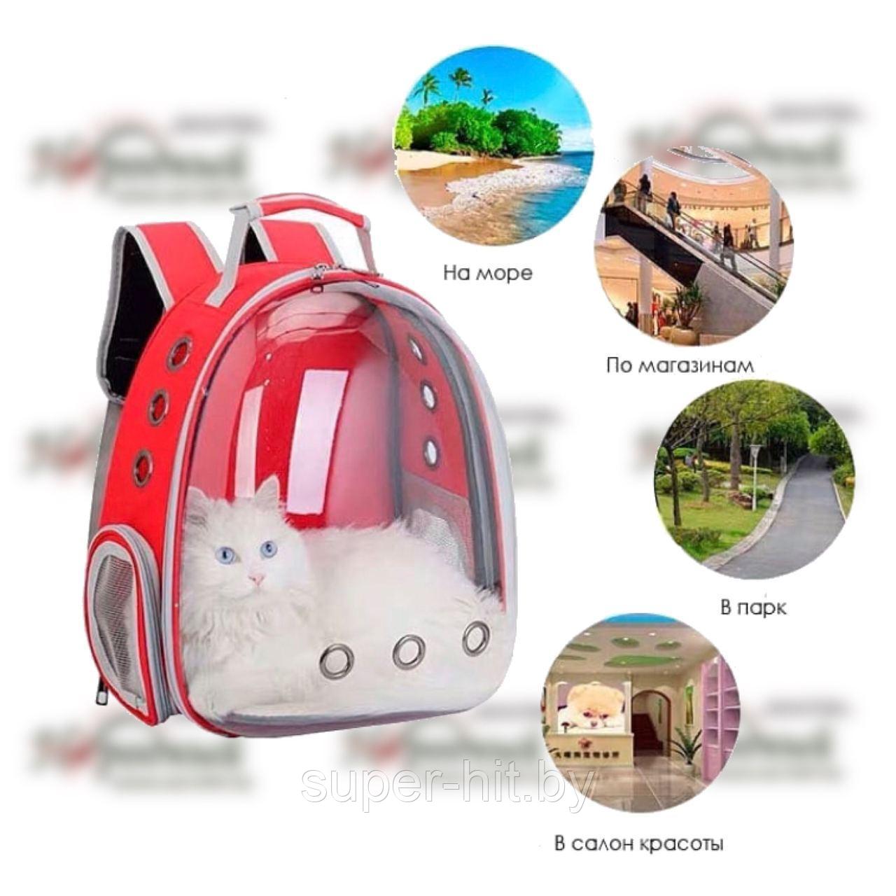 Рюкзак для переноски животных прозрачный (разные цвета) - фото 3 - id-p170605099