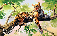 Алмазная мозайка "Леопард"