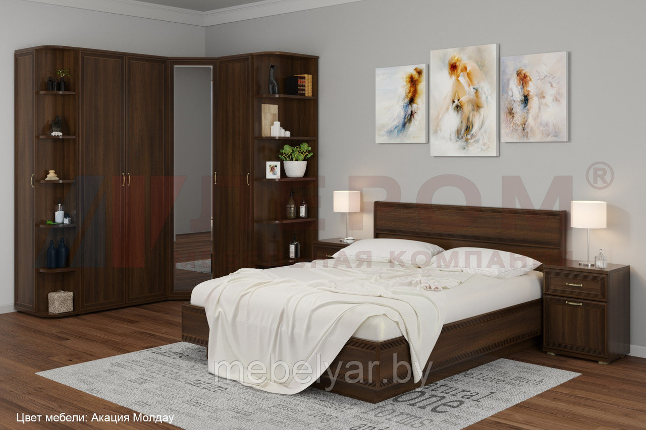 Спальня Лером Карина - композиция 8 (Акация Молдау) - фото 1 - id-p170608576