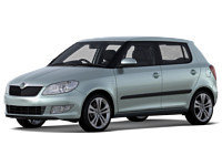 Автомобильные коврики в салон и багажник для SKODA Fabia I (2000-2007)