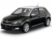 Автомобильные коврики в салон и багажник для SKODA Fabia II (2007-)