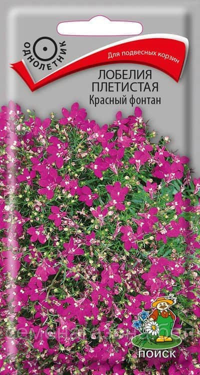 Лобелия плетистая Рубиновый фонтан (0,1 г)