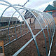 Теплица Сибирская XXL (Титан) "Краб" (труба 40*20, шаг 0.67 м) 4 метра, фото 7