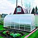 Теплица Сибирская-Сверхпрочная (труба 20*20, шаг 0.67 м) 8 метров, фото 8