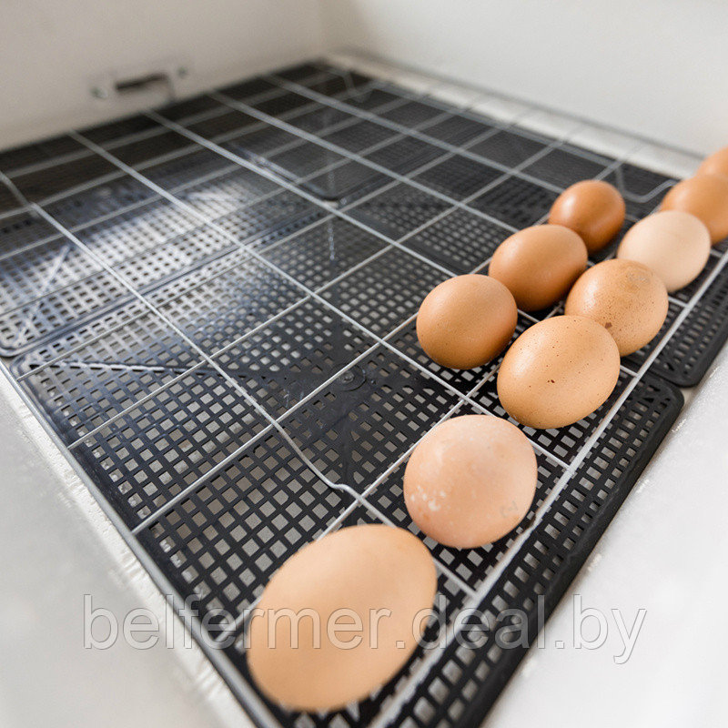 Инкубатор Несушка на 104 яйца (автомат, цифровое табло, 220+12В) арт. 64 - фото 4 - id-p170647388