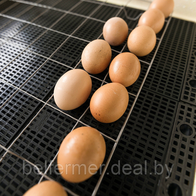 Инкубатор Золушка -2020 на 70 яиц (ручной, ЖК терморегулятор, гигрометр) Без а/поворота - фото 6 - id-p170647399