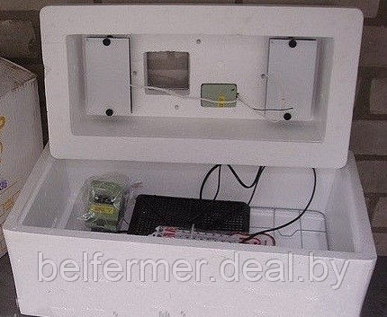 Инкубатор Несушка на 36 яиц (автомат, аналоговый с табло) + Гигрометр арт. 70Г - фото 3 - id-p170648256