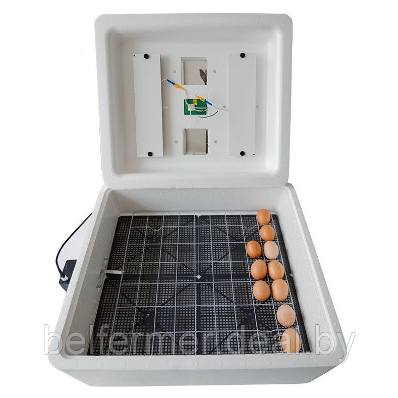 Инкубатор Несушка на 63 яйца (автомат, аналоговое табло) + Гигрометр, арт. 71Г - фото 4 - id-p170648259