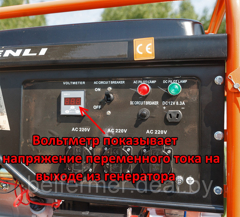 Бензогенератор Shtenli Pro S 3900 (3,3 кВт) - фото 2 - id-p170647946