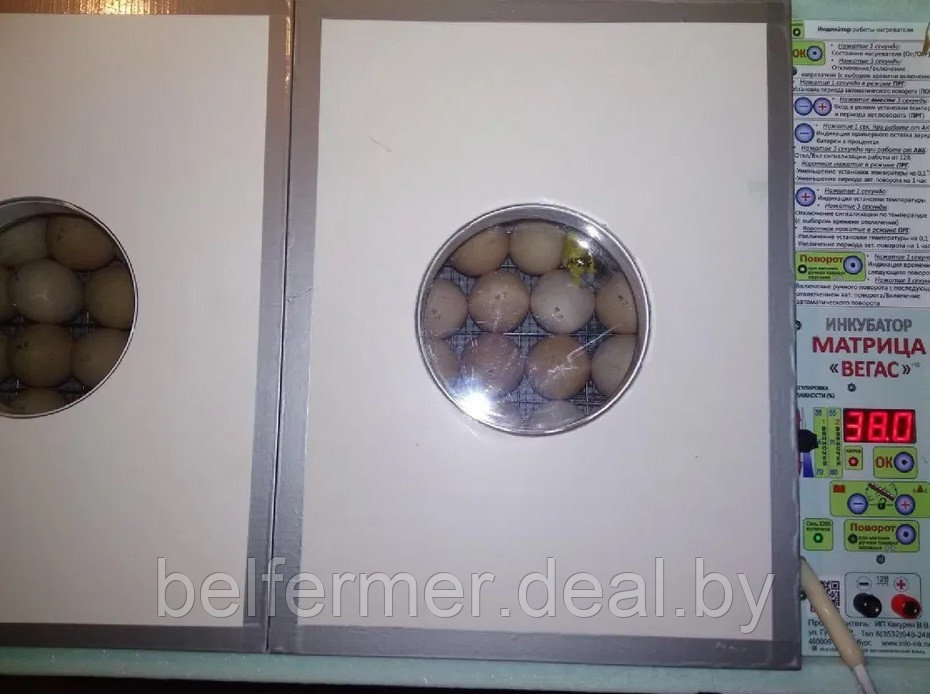 Инкубатор блиц матрица-вегас-90. Инкубатор блиц вегас. Инкубатор блиц матрица вегас цифровой 90. Инкубатор блиц вегас. Инкубатор блиц вегас.