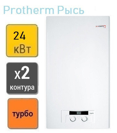 Газовый котел Protherm Рысь HK 24, фото 2