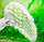 Карнавальный костюм "Крылья Ангела" (крылышки ангела, крепление резиночки на руки), фото 2