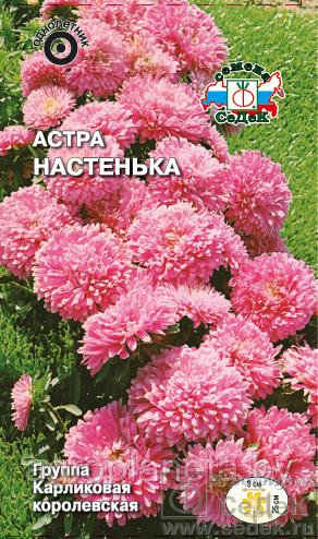 Астра НАСТЕНЬКА, 0.2г