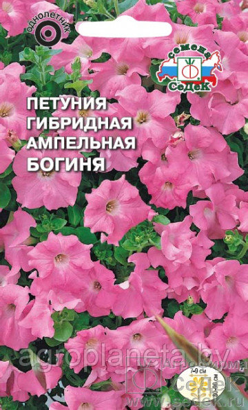 Петуния Богиня F1 (ампелная), 10шт: семена, семена овощных культур ...