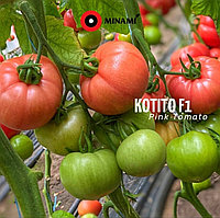 Томат Koтито F1, семена, 100 шт., Minami Seeds, (чп)