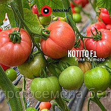 Томат Koтито F1, семена, 100 шт., Minami Seeds, (чп)