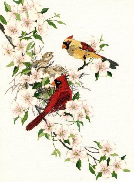 Набор для вышивания крестом "Кардиналы в хмеле" «Cardinals in Dogwood» - фото 1 - id-p170899138