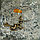 Брелок-талисман "Ведьма", натуральный янтарь, латунь 1,5 см, фото 2
