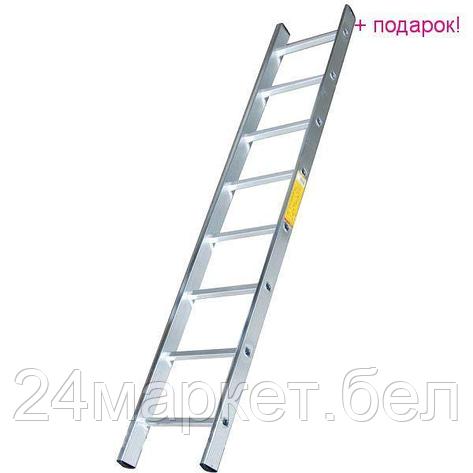 Лестница Dogrular Ufuk Pro 8 ступеней, фото 2