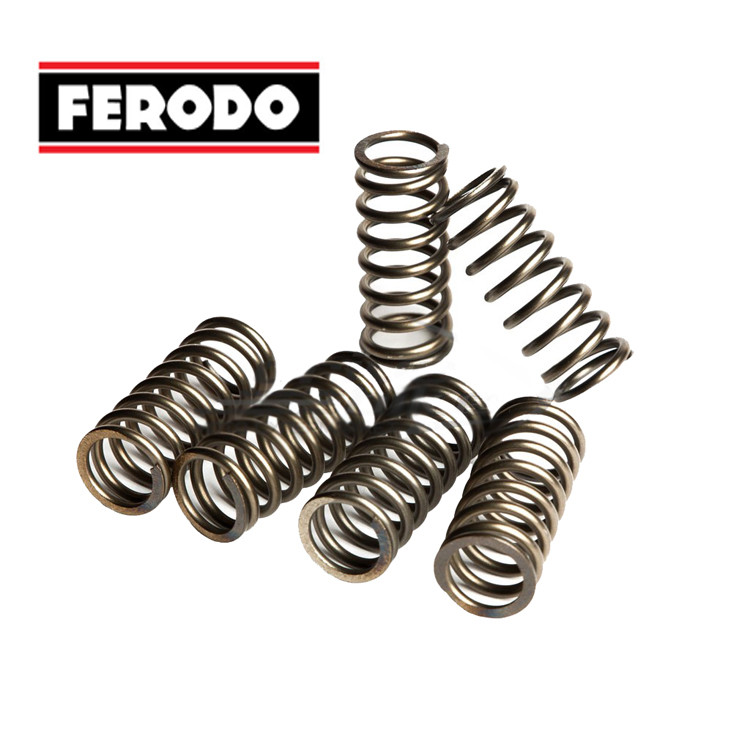 Комплект пружин сцепления Ferodo FSS0306 - фото 1 - id-p170978310