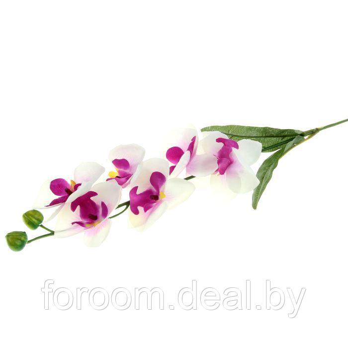 Цветок искусственный "Орхидея пышная бело-фиолетовая" 60 см 701086 - фото 1 - id-p171091345