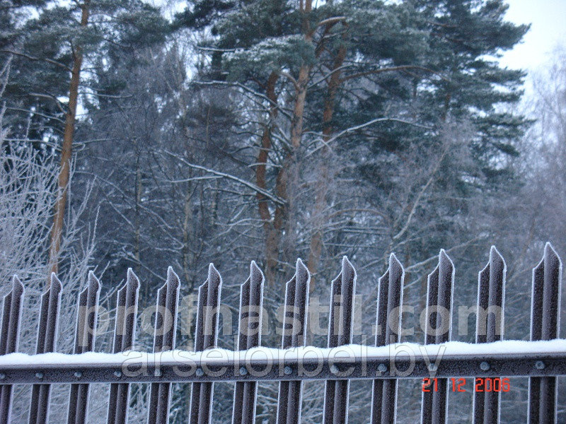 Забор оцинкованный антивандальный - фото 8 - id-p19468498