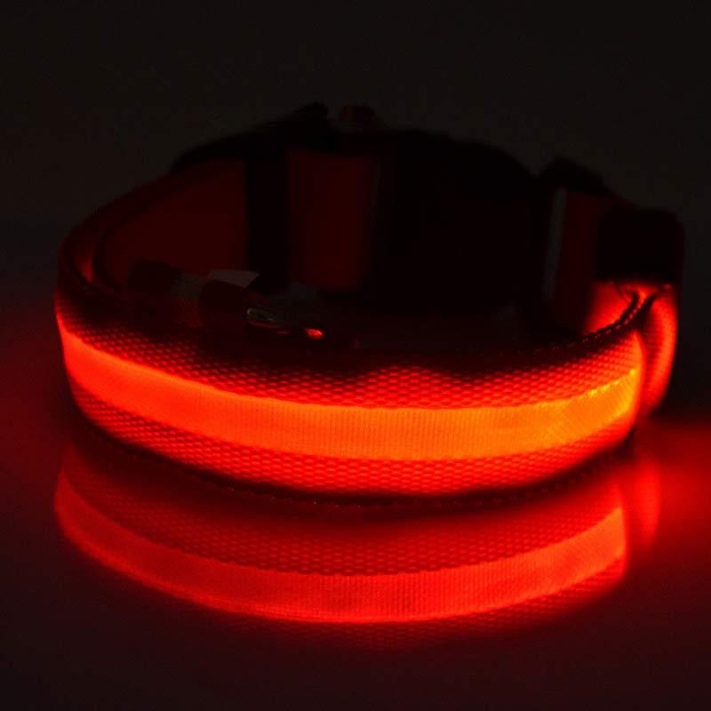 Светящийся ошейник для собак, нейлон, размер S, 35-43см, красный - фото 2 - id-p171111394