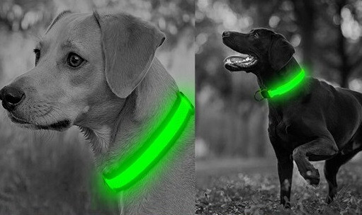 Светящийся ошейник для собак, нейлон, размер M, 40-48см, зелёный - фото 4 - id-p171112107