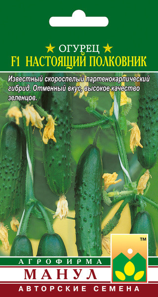 Огурец Настоящий полковник F1