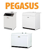 Напольные газовые котлы Ferroli (Ферроли) PEGASUS (Пегасус) с чугунным теплообменником