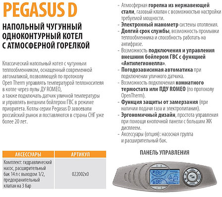 Напольный газовый котел Ferroli PEGASUS D 32 с чугунным теплообменником (Ферроли "Пегасус Д") (одноконтурный), фото 2