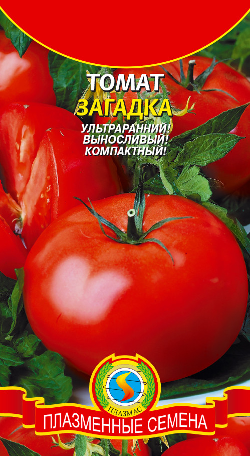 Томат ЗАГАДКА