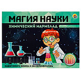Набор для проведения опытов Магия науки Химический мармелад, фото 2
