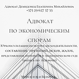 СОСТАВЛЕНИЕ заявления, иска, отзыва, жалоб,претензии. А Д В О К А Т Демидовец Е.М., фото 9