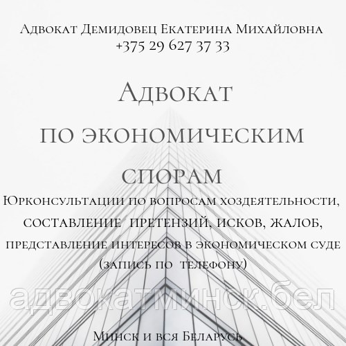 СОСТАВЛЕНИЕ заявления, иска, отзыва, жалоб,претензии. А Д В О К А Т Демидовец Е.М. - фото 9 - id-p91864737