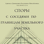 СОСТАВЛЕНИЕ заявления, иска, отзыва, жалоб,претензии. А Д В О К А Т Демидовец Е.М., фото 10