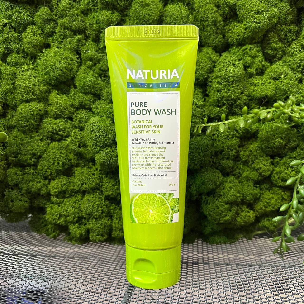 Гель для душа на основе натуральных экстрактов EVAS Naturia Pure Body Wash Wild Mint & Lime , 100мл