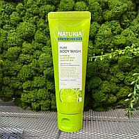 Гель для душа на основе натуральных экстрактов EVAS Naturia Pure Body Wash Wild Mint & Lime , 100мл