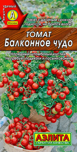 Томат Балконное чудо - фото 1 - id-p171415138