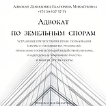 Дистанционная, ОНЛАЙН юридическая помощь адвоката Демидовец Е.М. Опыт работы более 24 лет., фото 5