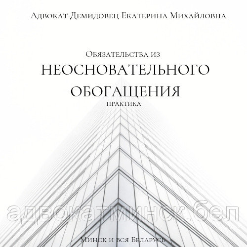 О Н Л А Й Н, дистанционно юрпомощь АДВОКАТА Демидовец Е.М.Опыт работы более 23 лет. - фото 9 - id-p5820964