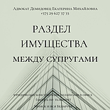 Дистанционная, ОНЛАЙН юридическая помощь адвоката Демидовец Е.М. Опыт работы более 24 лет., фото 3