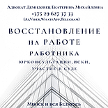 О Н Л А Й Н, дистанционно юрпомощь АДВОКАТА  Демидовец Е.М.Опыт работы более 23 лет., фото 7