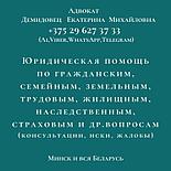 О Н Л А Й Н, дистанционно юрпомощь АДВОКАТА  Демидовец Е.М.Опыт работы более 23 лет., фото 2