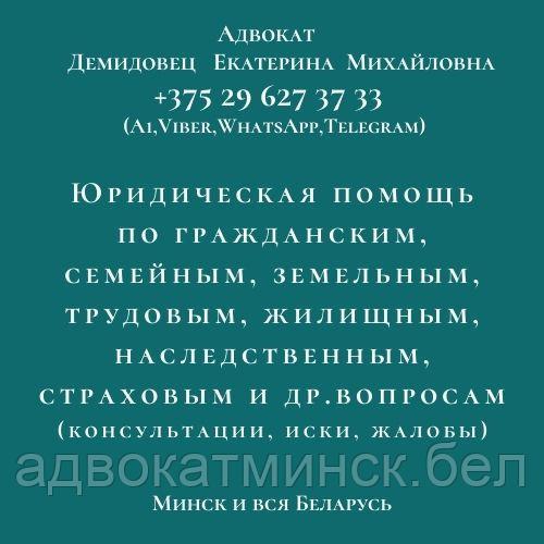 О Н Л А Й Н, дистанционно юрпомощь АДВОКАТА Демидовец Е.М.Опыт работы более 23 лет. - фото 2 - id-p5820964