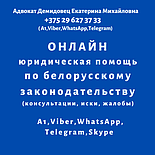 АДВОКАТ по административным делам Демидовец Е.М., фото 3