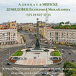 АДВОКАТ, защитник, представитель потерпевшего,юрлиц и ИП по административным делам -  Демидовец Е.М. Опыт 24 г, фото 5